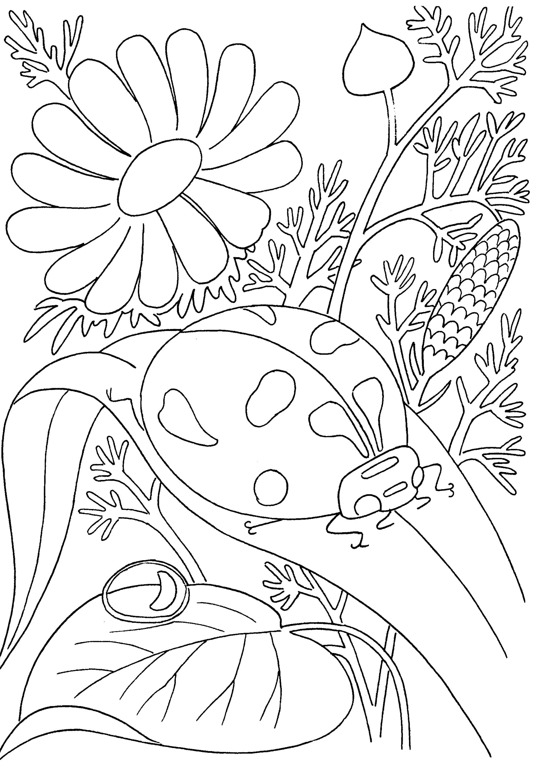 Cute insect coloring pages