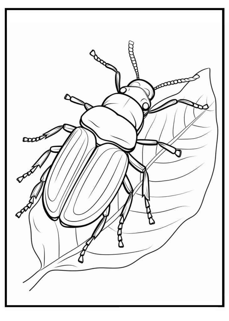 Insect coloring pages