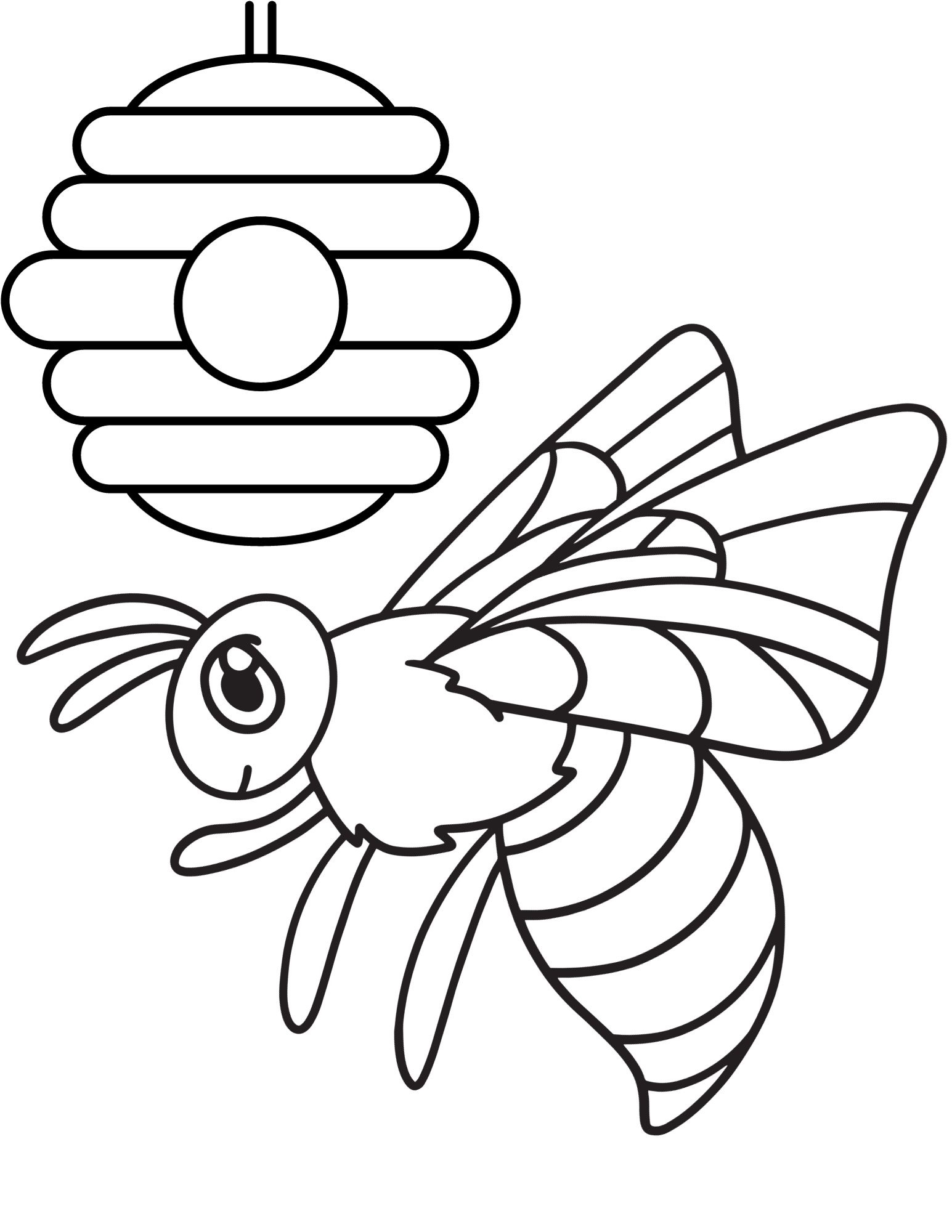 free printable insect coloring pages